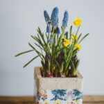 A bouquet of spring flowers in ceramic pot