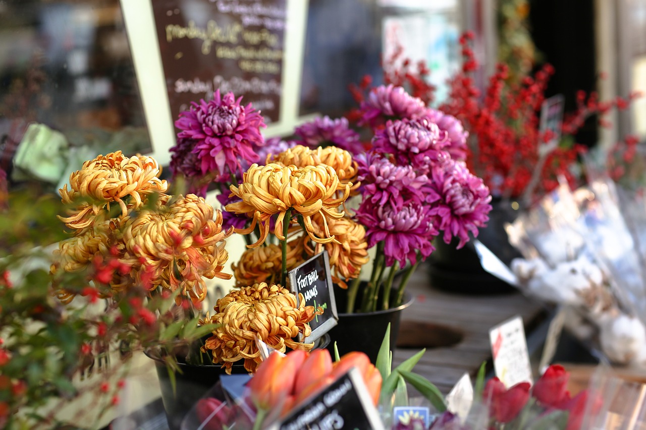 Chrysanthemums in vases in a grocery store/ Pixabay