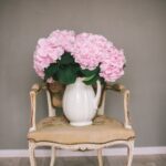 hydrangeas in white pitcher