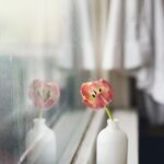 tulip in white ceramic jar