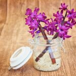 flowers in a mason jar